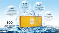 等同于数百个苹果的刺梨