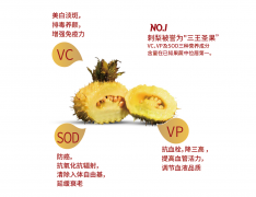 小小刺梨大有可为—良知