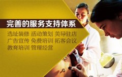 老艾堂整店输出模式是什